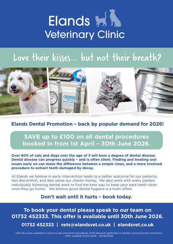 5450 - Elands Vets - Dental Campaign Poster (1)